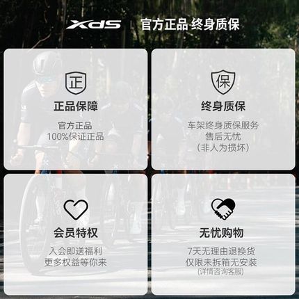 喜德盛公路c自行车RS500碳纤维前叉单盘12速油压碟刹2024款竞速车