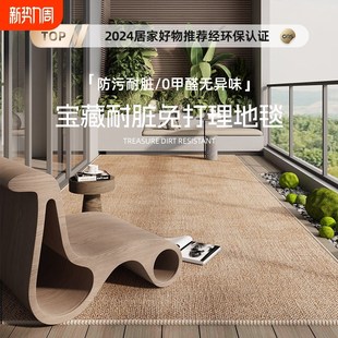 阳台地垫地毯防水防晒防滑家用防E污可裁剪防潮免洗全铺大面积
