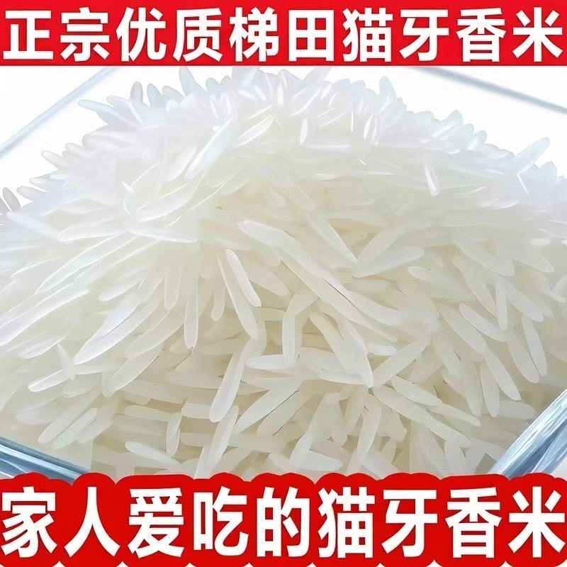 【净重10斤】猫牙香米高山农家超长丝苗米长粒香米10斤丝苗米批发