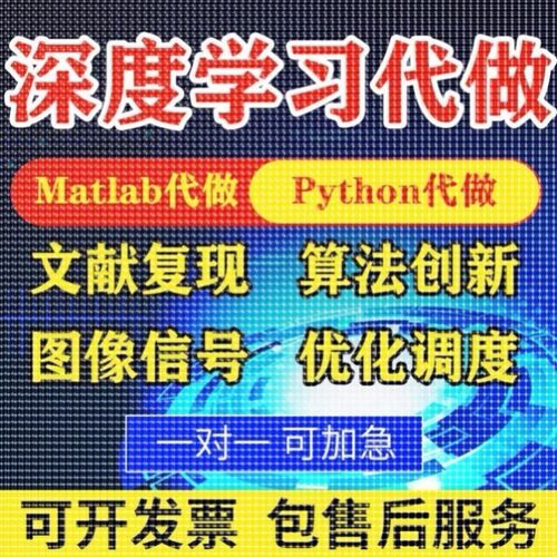 matlab代编程序代做帮做python代码复现算法仿真编写深度机器学习