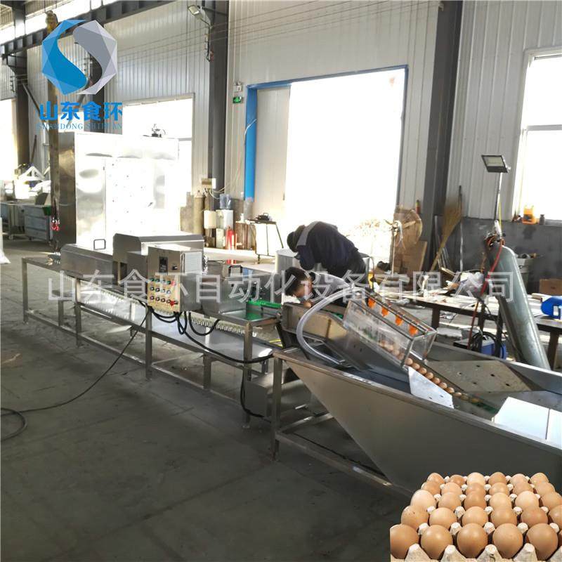 鸡蛋清洗机鸡蛋鸭蛋泥蛋清洗设备洗蛋机价格小型商用洗蛋机,清洗/食品/商业设备,其他食品加工设备,淘宝优惠券,粉丝福利购,淘宝优惠卷
