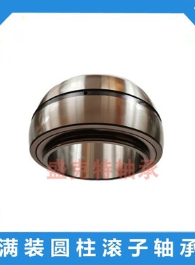 满装圆柱滚子轴承SL045010 045011 045012 045013 045014 045015