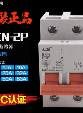 BKN-2P C6 D1020 25 32ABKN2P正品韩国LS产电小型断路器新款BK63N