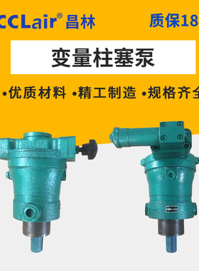 5/10MCY/PCY/SCY/YCY14-1B液压泵80变量2.5柱塞泵16 25 32 40 63