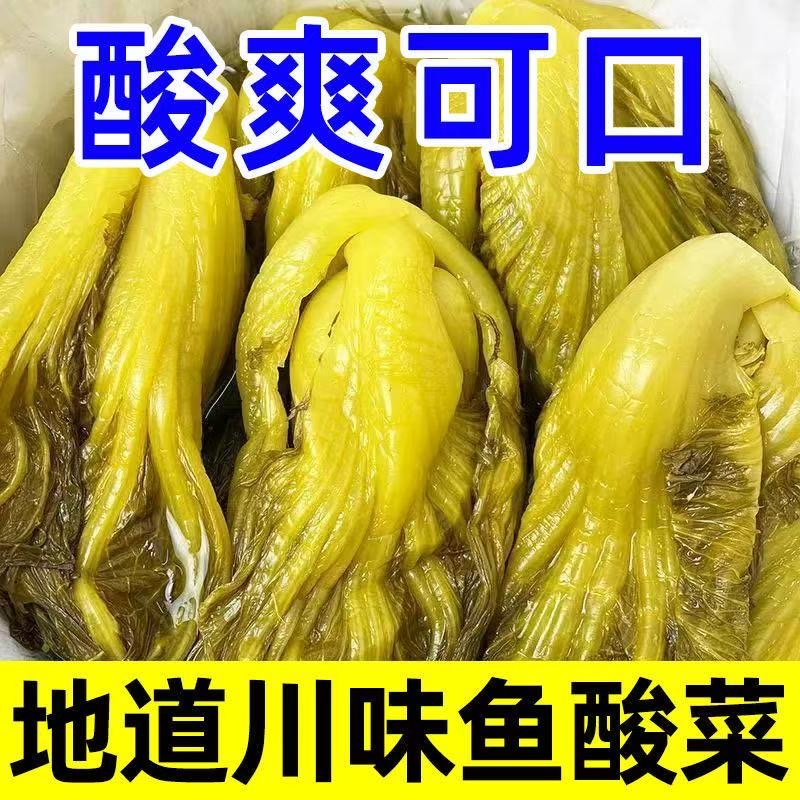 正宗四川老坛鱼泡菜酸菜鱼调料鱼酸菜开胃菜下饭菜咸菜泡青菜袋装