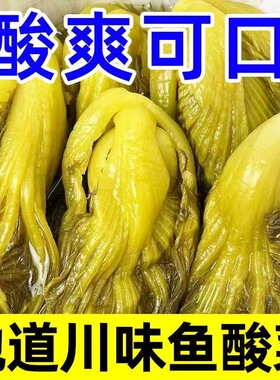 正宗四川老坛鱼泡菜酸菜鱼调料鱼酸菜开胃菜下饭菜咸菜泡青菜袋装