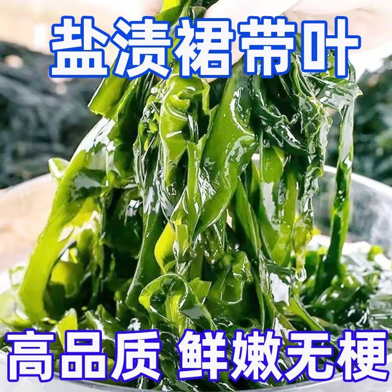 裙带菜盐渍正宗海菜大连少盐新鲜裙带菜叶商用火锅食海芥菜纯天然