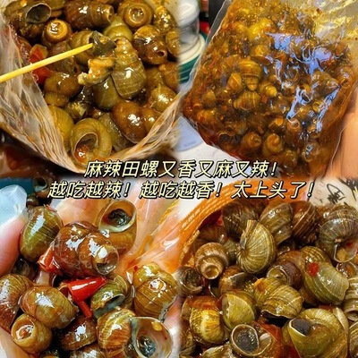 【超值大包装】香辣嗦螺麻辣炒田螺即食螺蛳螺丝肉海鲜口味螺肉
