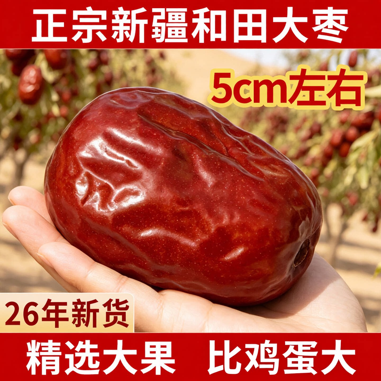 正宗大枣官方旗舰店新疆和田红枣特级新疆特产沙漠枣业即食灰枣