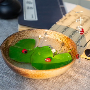 迷你一叶莲水培浮萍水上植物鱼缸碗莲花睡莲荷花无土水生水培花卉