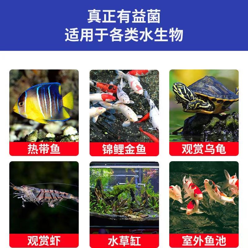 硝化细菌鱼缸用净水稳定剂免换水硝化菌活菌净化水质懒人养鱼用品