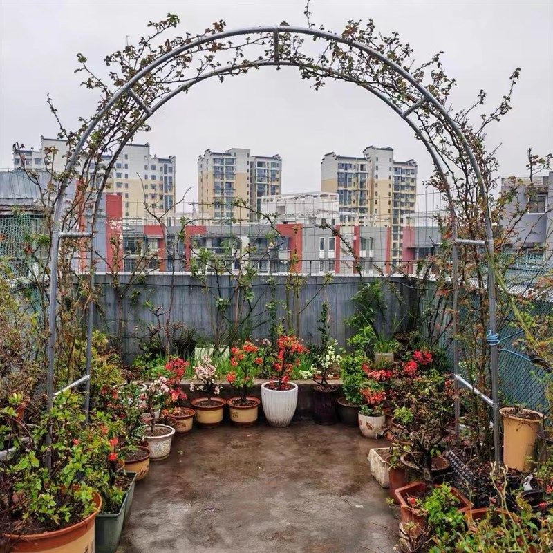 加厚款爬藤架25管径庭院葡萄架户外花园拱门造型花支架拱形花架子