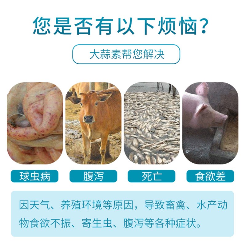 家禽大蒜素粉兽用浓缩鸡鸭鹅猪牛羊促生长饲料添加剂水产鱼益生菌