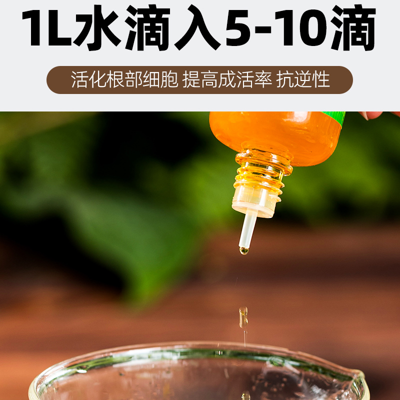 生根粉生根液植物通用强力生根剂生根壮苗剂营养液移栽爆芽树木透