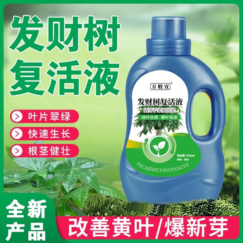 发财树营养液肥料专用肥防掉叶烂根叶子发黄室内盆栽植物花肥通用