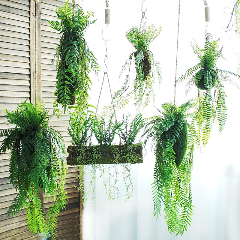 仿真蕨类植物室内垂吊森系景观造景绿植空中吊饰悬挂花艺餐厅装饰
