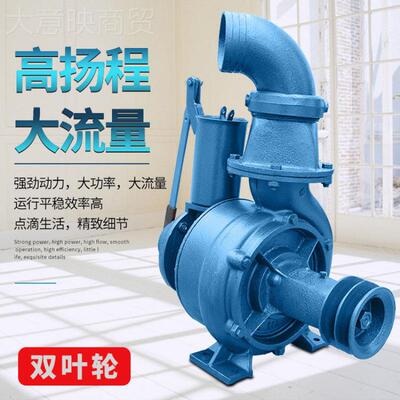 双轮叶RRL离心泵手拖泵抽水器农用抽水机农田灌溉高压扬大流量水
