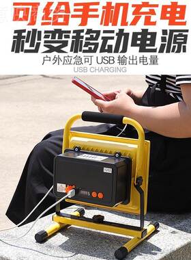 充jd101858电投光led家用应急灯照明停电地户外球摆摊篮手工提超