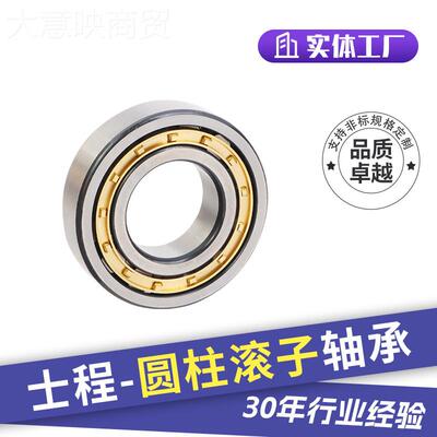 重载圆柱子轴承NJ1005 NEJ1006 NJ1011 NJ1015 NJ10滚17 DSJNJ102