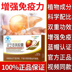 华喜达中和鸿业牌灵芝姜黄护肝胶囊辅助保护化学性肝损伤官方正品