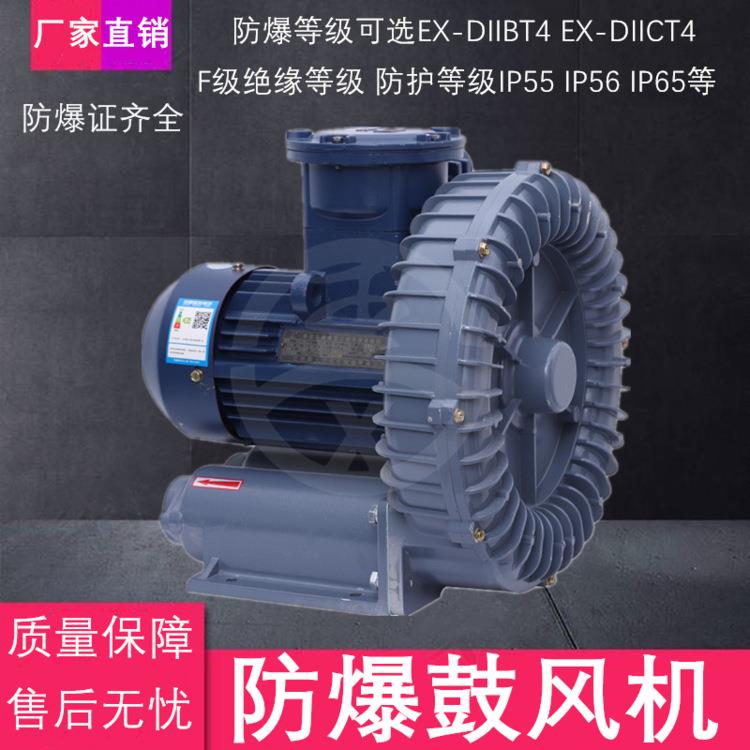 特氟龙涂层耐腐蚀防爆高压鼓风机化工厂废气处理漩涡气泵耐高温