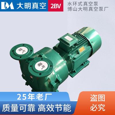 2BV系列2.35KW/3.85KW/4KW/5.5KW/7.5KW/11KW/15KW水环式真空泵