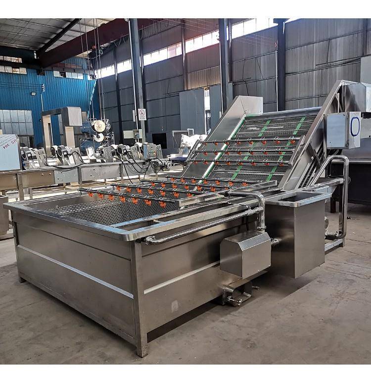 商用果蔬气泡清洗机叶菜类翻浪洗菜机高压喷淋清洗机