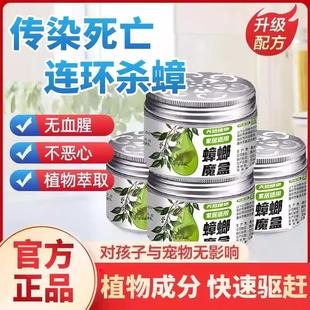 标彤 强效出租房家用室内厨房蟑螂克星蟑螂一窝端