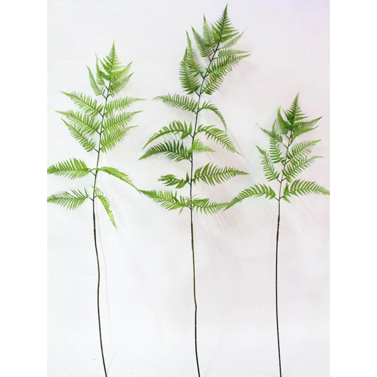 仿真蕨叶树金丝猴蕨狗蕨盆景中式禅意造景装饰绿植假叶子堆景景观