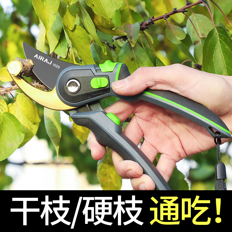 果树修枝剪树枝专用花艺花卉枝剪子剪枝园K林工具花剪修剪园艺剪