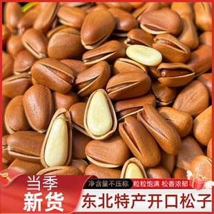 东北开口松子大颗粒松子坚果原味松子手剥大红松子新货新松子
