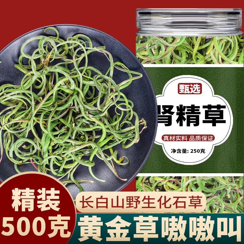 长白山肾精草雄阳草石苇草正品