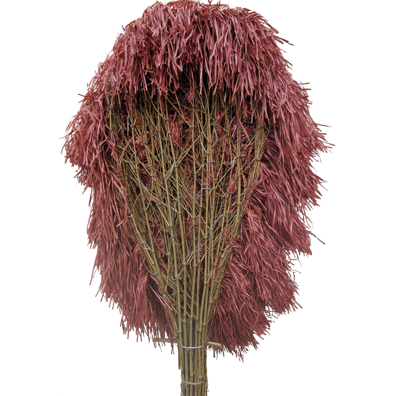 竹扫把大扫把扫院子笤帚家用塑料丝加F大加宽环卫竹扫帚扫马路室