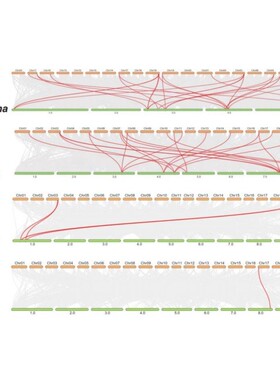 r语言绘图数据生信分析课程代码包SCI科研医学桑基热实战模型挖掘