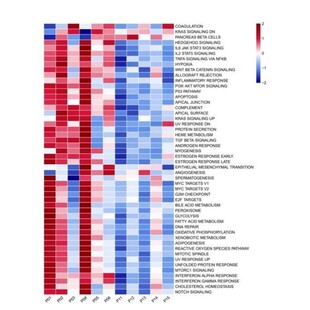 GSEA 富集分析 KEGG 单细胞和bulk都适用 GSVA