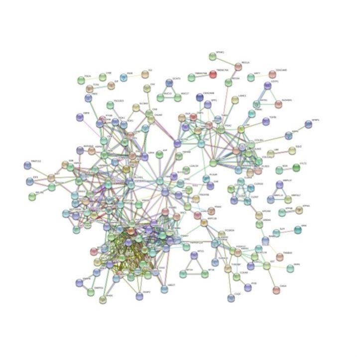 GEO数据库 生物信息学 多芯片联合分析 GEO2R 蛋白互作网络