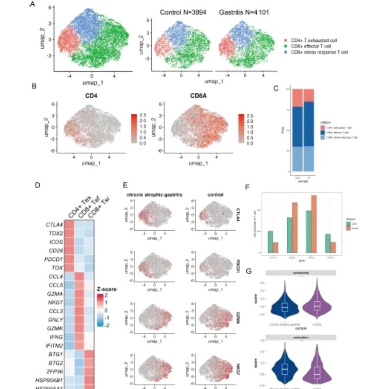 10x单细胞测序数据基础分析cellranger 空间转录组atac流程代跑