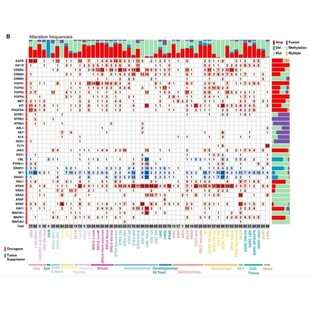 生信分析服务 文章复现 课题设计 5分生信文章 医学生信