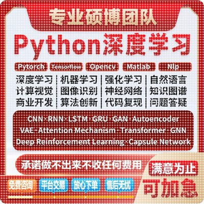 Python深度学习机器学习代编程算法创新指导代码编写优化调试接单