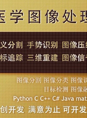 Python代编医学图像分割深度学习语义分割计算机视觉生成对抗网络