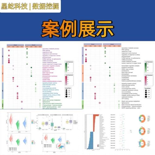 火山气泡柱状GSEA曲线图生信分析作绘图定制数据报告科研文章制图