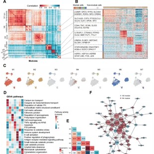 生信+实验/生信分析套餐服务TCGA/GEO单细胞测序转录组多组学联合