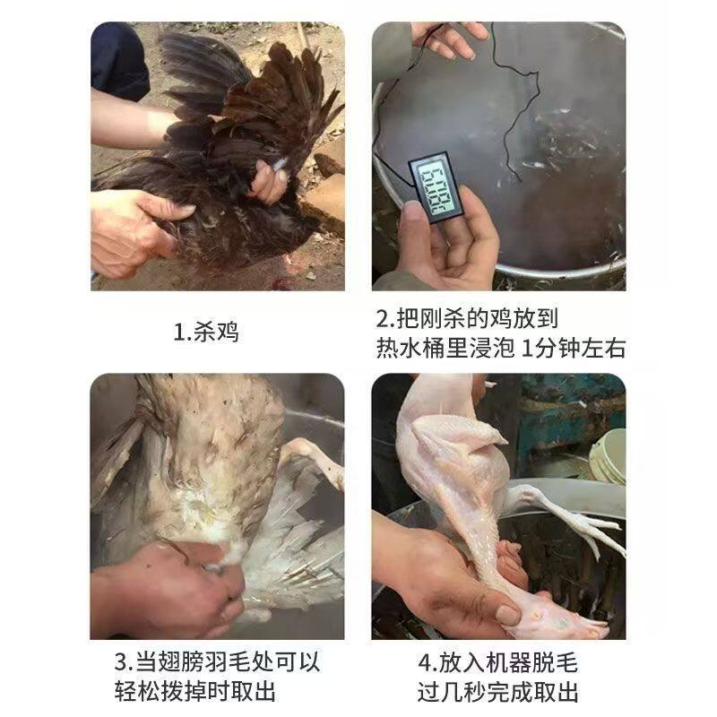 全自动商用家禽脱毛机皮带款涡轮款打毛机鸡鸭鹅专用