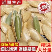 新疆美人甲长粒南瓜子椒盐原味2025年新货南瓜籽独立包装 年货瓜子
