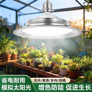 全光谱植物生长灯室内花卉盆栽仿太阳光高显色防蓝光LED补光灯