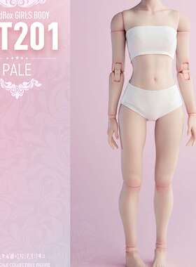 Worldbox AT201 202 AT203 耐操1/6关节可动女素体 模特版肥腿版