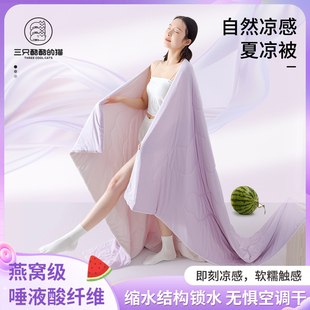 三祇酷酷的猫凉凉被夏凉被2025夏季凉感被被芯轻薄透气双人吸汗