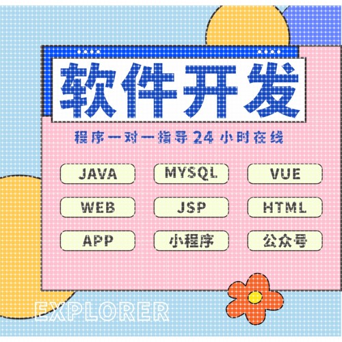 java代码编写python代做计算机软件开发定制微信小程序设计C#项目