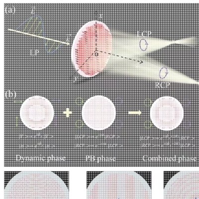 代做光学仿真 comsol fdtd rsoft cst lumerical optisystem 答疑