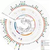 生信分析服务2 5差异基因单细胞测序转录组数据r语言火山图热图